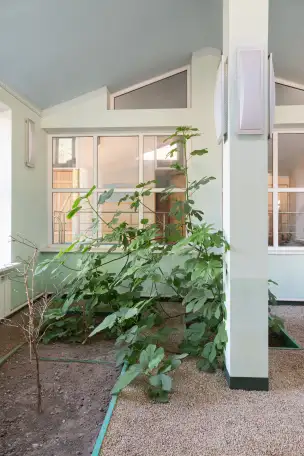 Продам дачу мечты, Шамалган, Шамалганские дачи, фотография 4