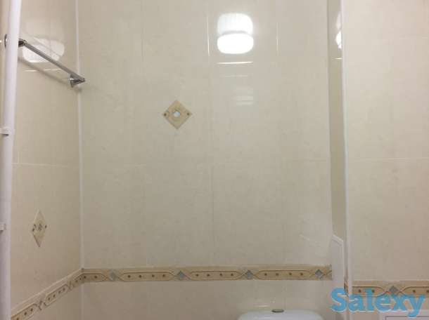 Продам, Розы Люксембург, фотография 2