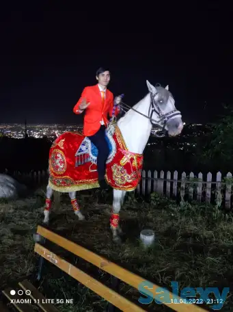 кудалык, беташар, фотография 2