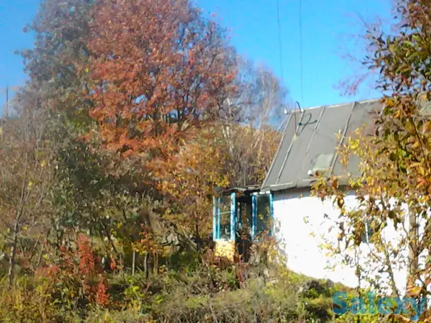 продажа дачи, скалистое.с.о.иртыш-3., фотография 2