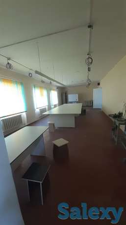 Продам отдельно стоящее здание, Муратбаева 5/1, фотография 4