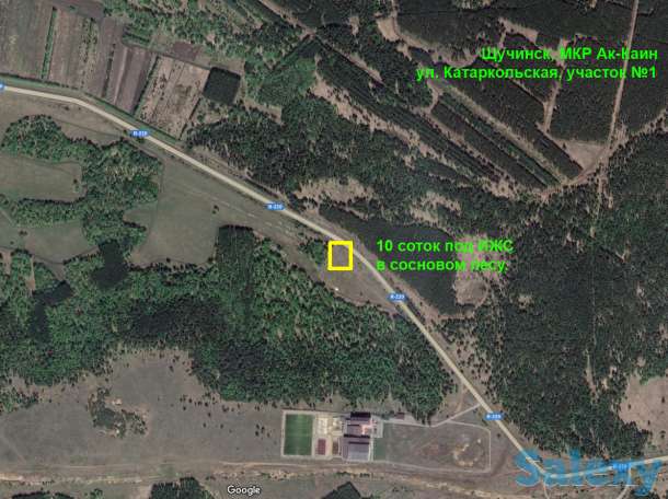 Продается земельный участок рядом с сосновым лесом г. Щучинск, фотография 3