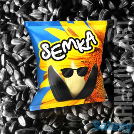 Разработка дизайна всех видов, фотография 2