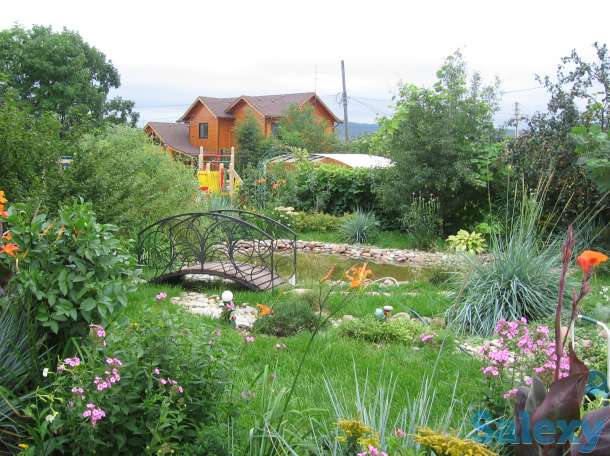 Сад мечты на вашем участке!, фотография 3