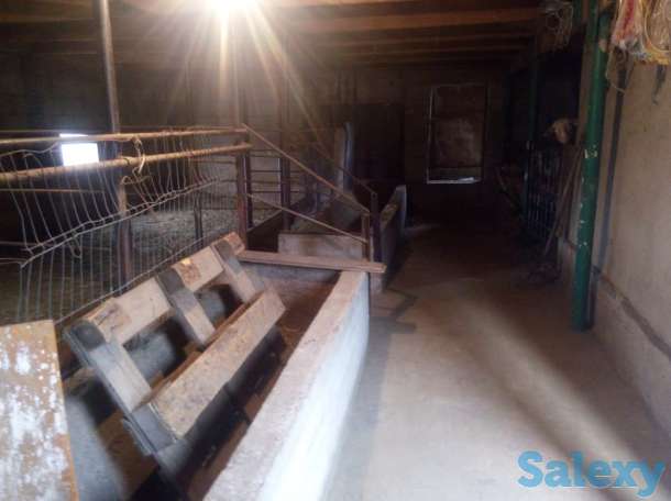 Продам, Толе би ауылы (Коктобе 3), фотография 3