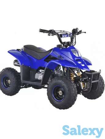 Квадроциклы 50,110,125,250сс, фотография 10