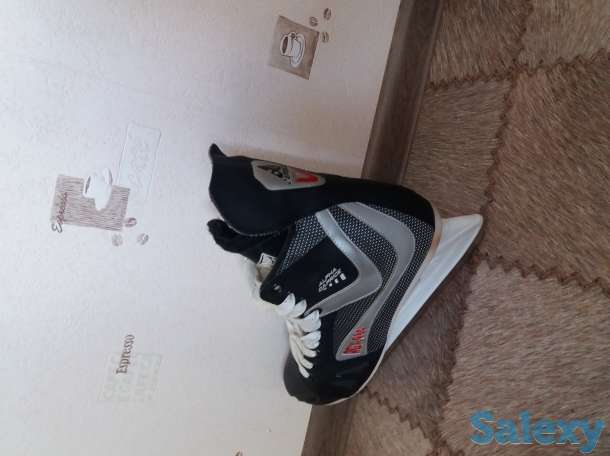 коньки, фотография 2