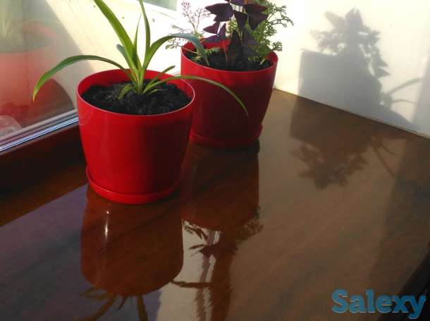 3 конматная квартира в Перми, РФ, Пермь, ул. Лумумбы 7, фотография 2