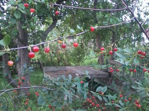 Продам Дом село Урумкай от Щучинска 35км, фотография 2