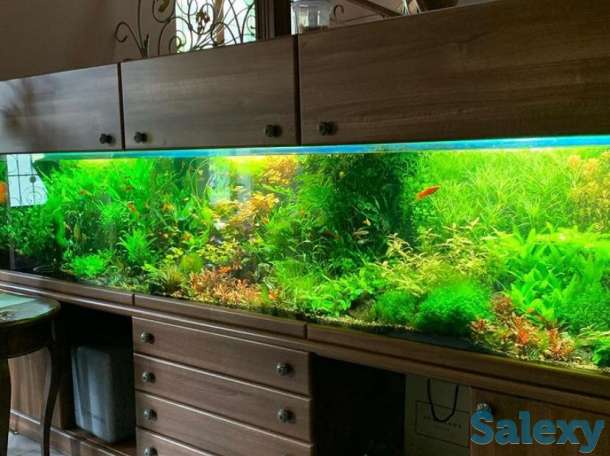 Аквариум изготовление в Алматы, фотография 2