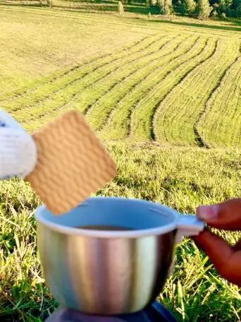 Участки в Катон-Карагае, фотография 10