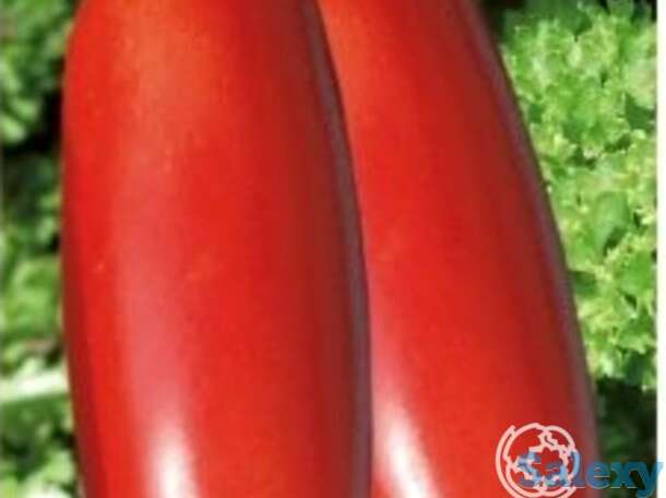 Семена Томат Итальянские спагетти 20 шт., фотография 1