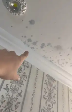 Услуги отделочника алматы, фотография 3