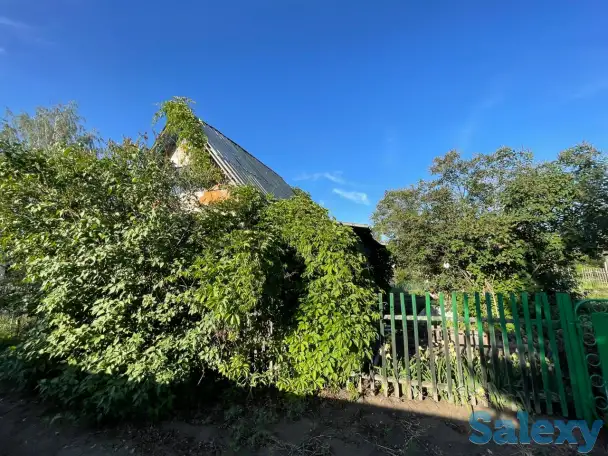 Дача. Петропавловск. Общество «Горизонт»., фотография 9