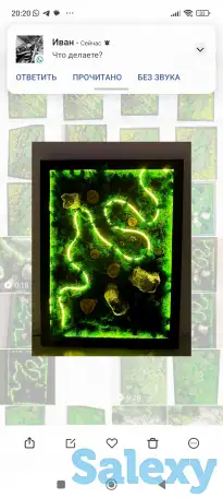 Картина из стабилизированного мха, фотография 1