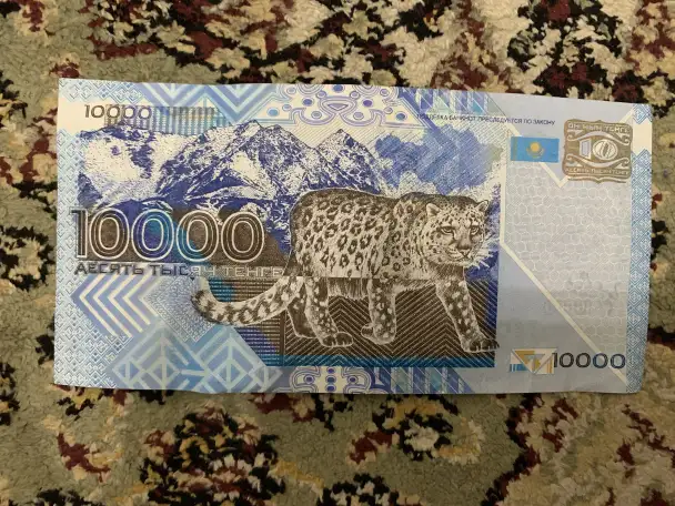 Десять тысяч тенге 2003 года с барсом, фотография 2