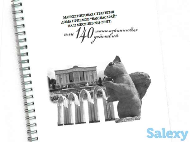 Маркетинговые исследования или анализ бизнеса, фотография 6