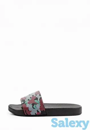 Сланцы t.taccardi, фотография 2