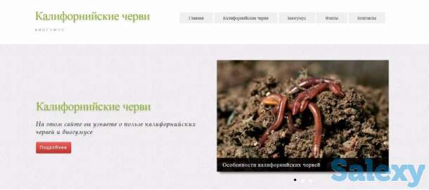 Создание сайтов 20 000 тг., фотография 3