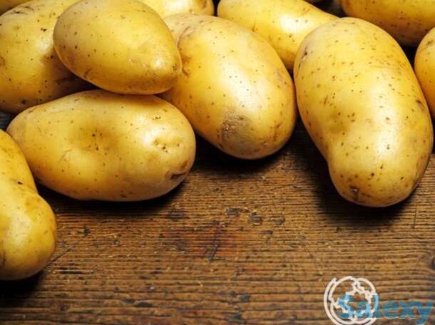 Семена Картофель Сказка, фотография 1