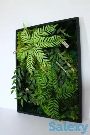 Картины из стабилизированного мха, фотография 4