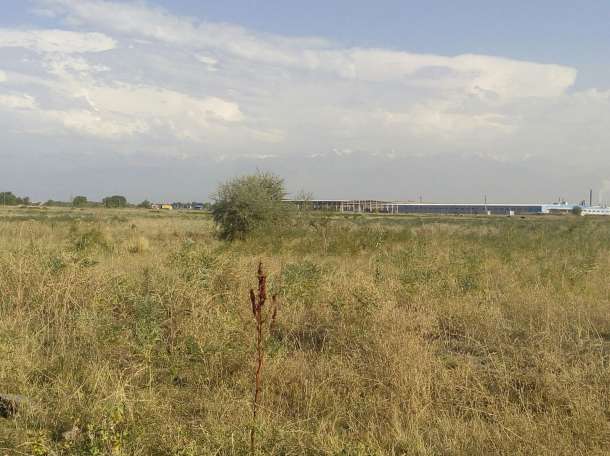 Продажа зем.участков для ведение товарного сельского хозяйства (КХ) в пос. , фотография 1