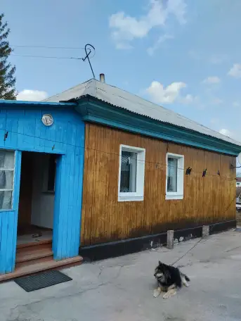 Кирпичный дом, Шемонаиха ул.Казахстанская 24, фотография 1