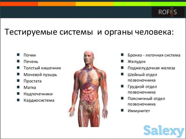 японский аппарат Rofes. функциональное тестирование  организма, фотография 2