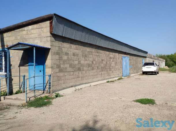 Производственная база. Овощехранилище. СДЕЛАЕМ СКИДКУ ДЛЯ РЕАЛЬНОГО ПОКУПАТЕЛЯ!, фотография 2