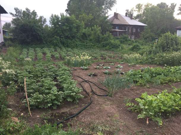 Продам дом в посёлке Белоусовка, фотография 3