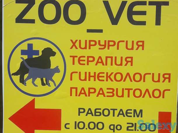 Ветеринар на выезд, фотография 1