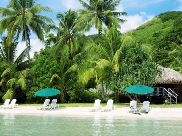 IT. компании пребуются сотрудники, фотография 1