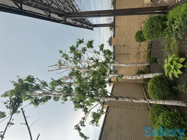 Продаю шикарный дом, фотография 10