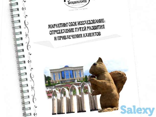 Маркетинговые исследования или анализ бизнеса, фотография 4