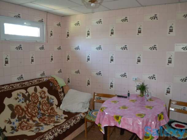 Сдается дача у озера Балхаш, фотография 4