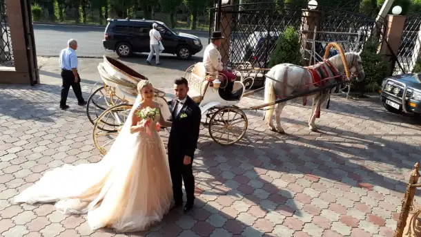 аренда кареты, фотография 5