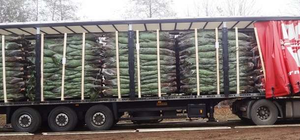 перевозки доставка , фотография 4