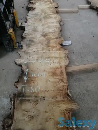 Слэбы от производителя из дуба, шпальтового бука, капового тополя, вербы, капового карагача, ясеня., фотография 3