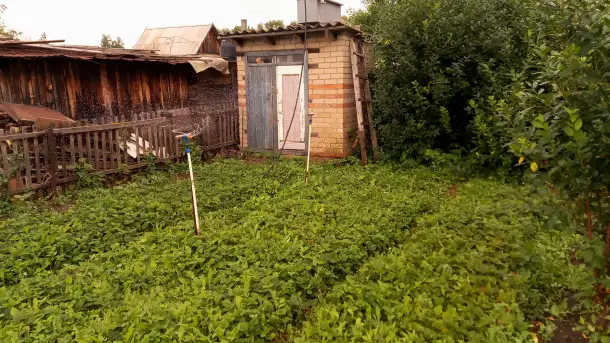 Продается дача., фотография 6