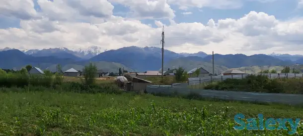 Продам участок 76 соток, р/н Кызыл Кайрат, фотография 4