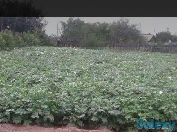 Продаю дом в п.Вольный Абайский р-он., фотография 5