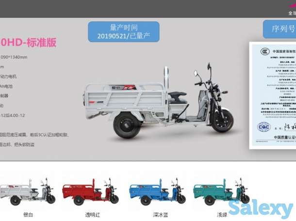 Электротранспорт оптом, фотография 8