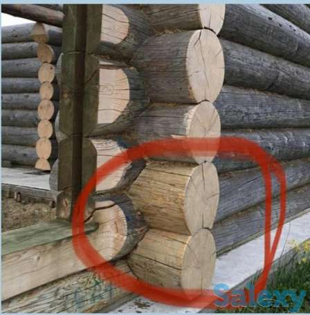 отбеливатель для древесины Экомагус, фотография 1