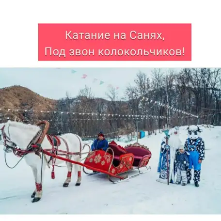 продам сани большие под лошадь, фотография 1