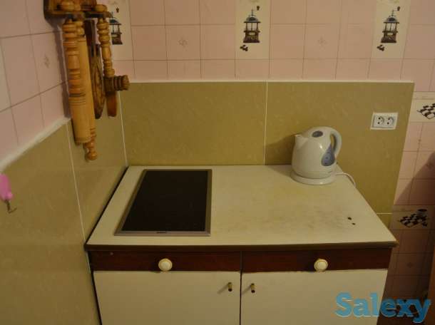 Сдается дача у озера Балхаш, фотография 6