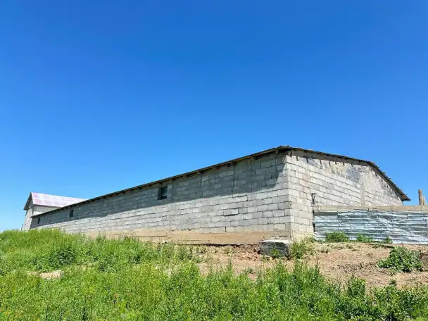 Фазенда, Кольащы, фотография 18