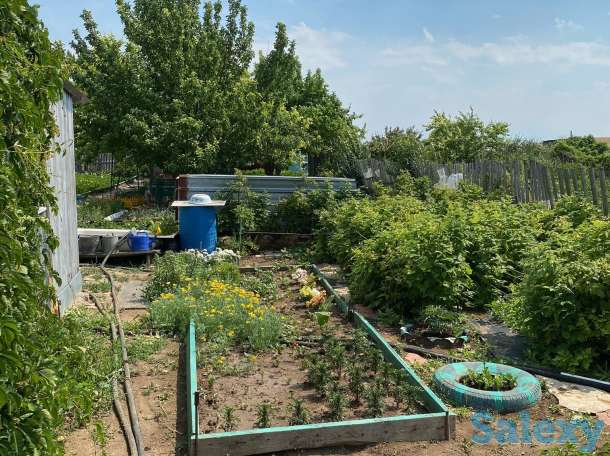 Продам Дачу Схос 