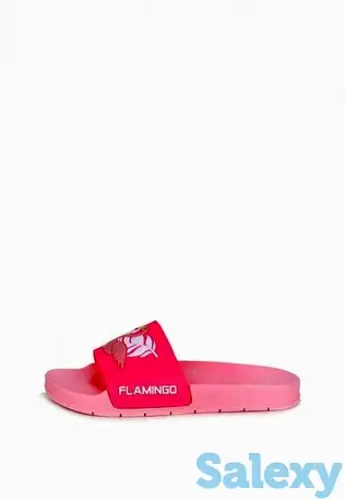 Сланцы t.taccardi, фотография 2