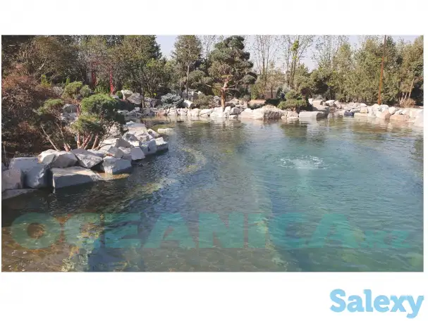 Строительство прудов, фотография 3