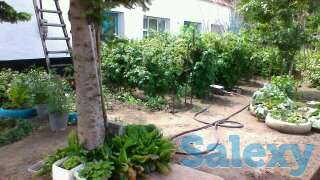 Продается дом пос. Первомайский, фотография 5